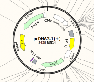 微信图片_20220314165934 分子生物学实验