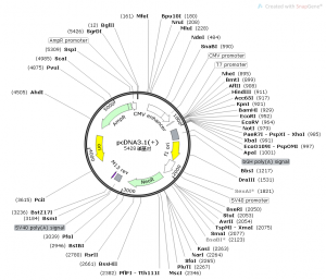 微信图片_20220314172742 载体库1